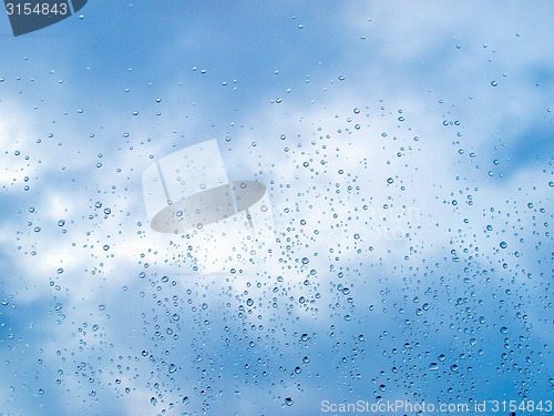 Image of Rain droplets