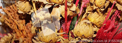 Image of dried flowers
