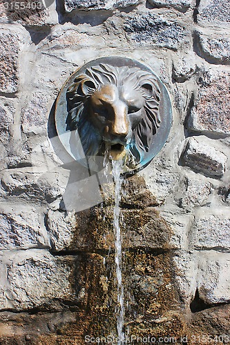 Image of Street faucet with a lion head