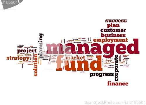 Image of Managed fund word cloud