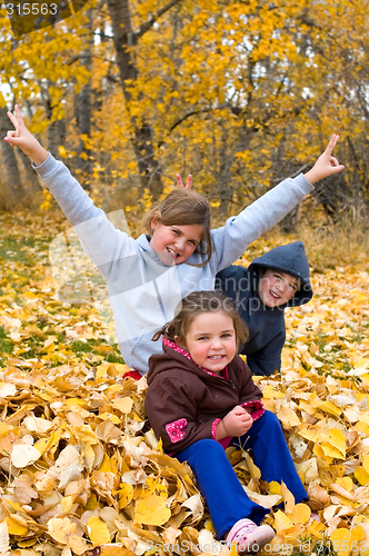 Image of Autumn Fun