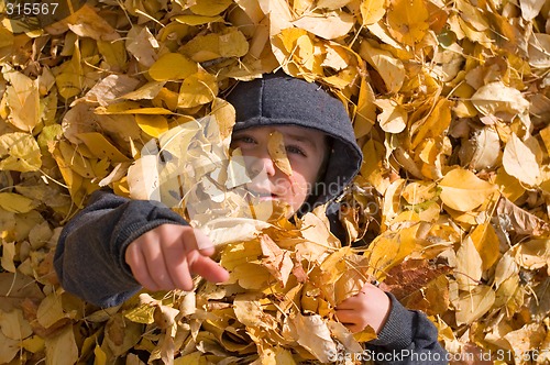 Image of Autumn Boy