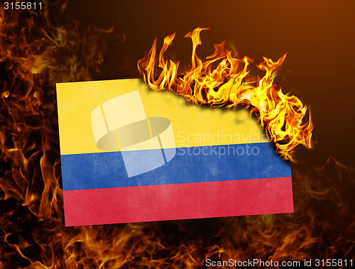 Image of Flag burning - Colombia