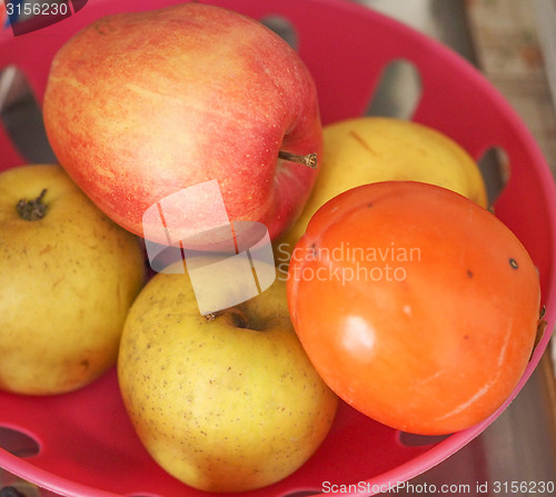 Image of Apple fruit