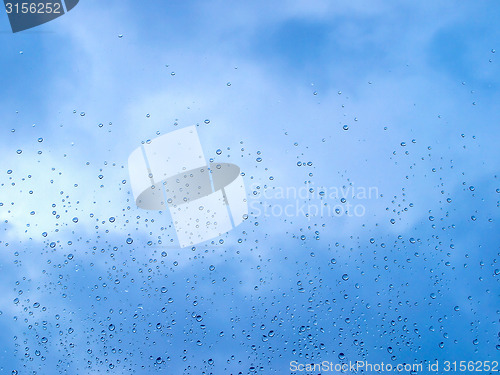 Image of Rain droplets