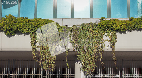 Image of Hanging gardens