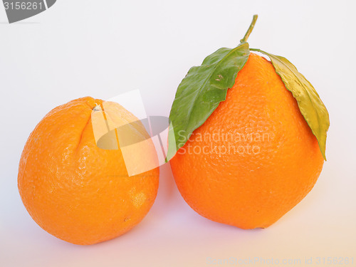 Image of Orange fruit