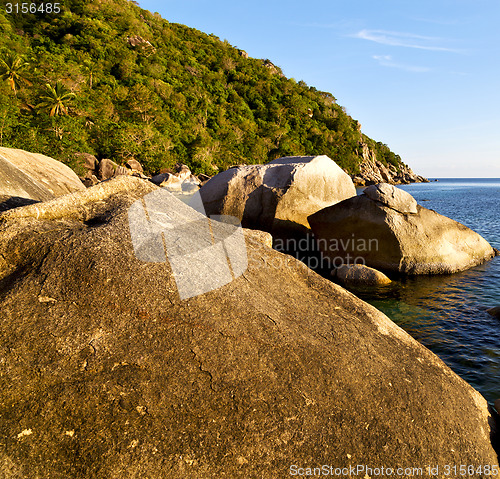 Image of stone   thailand kho tao bay abstract of a blue lagoon  