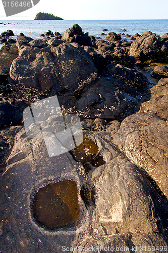 Image of     madagascar    seaweed in indian  isle  sky and rock 