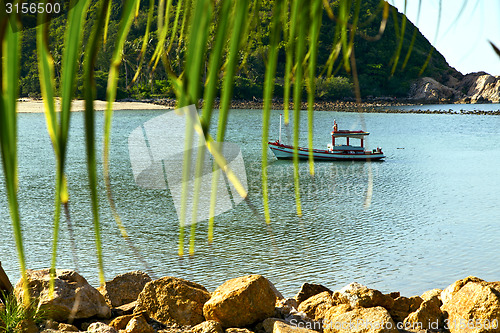 Image of asia in  kho phangan   palm and south china sea 