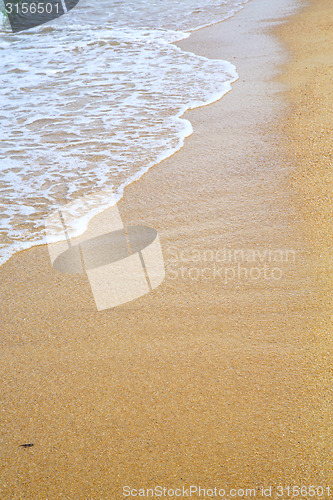 Image of thailand kho tao   wet sand and the beach in  south china sea