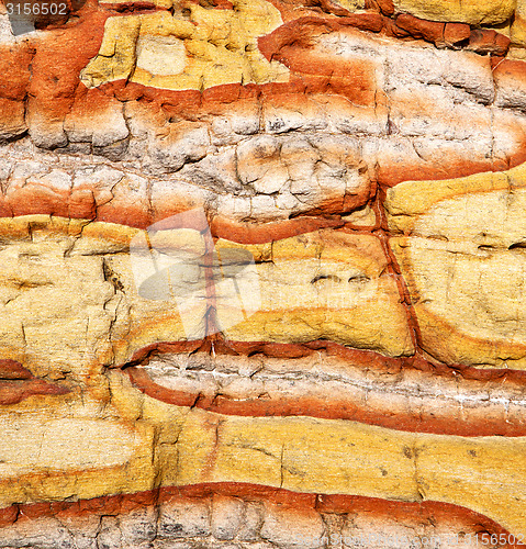 Image of   stone and lichens 