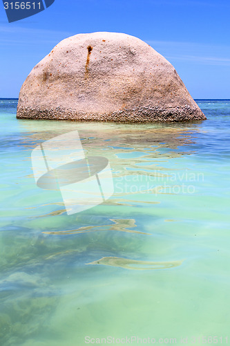 Image of asia  the  kho tao bay isle white  beach     south china sea 