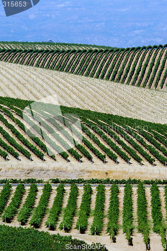 Image of Napa Valley