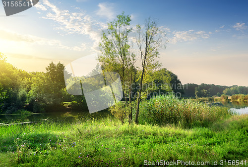 Image of Calm backwater