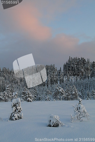 Image of Winter sunset