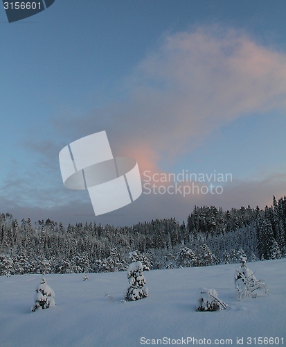 Image of Winter sunset