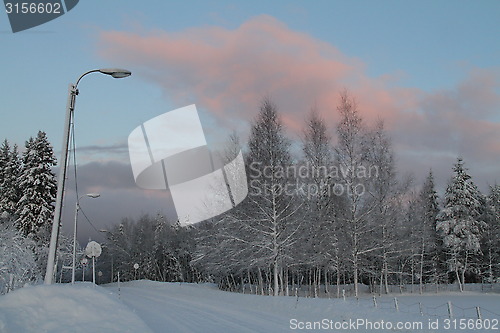 Image of Winter road