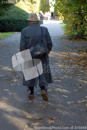 Image of senior walk in park