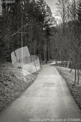 Image of Small Pathway going trough the forest