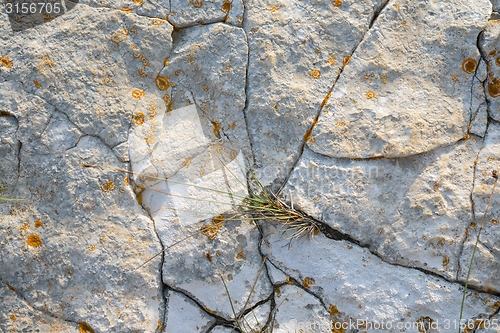 Image of Aged rock texture background 