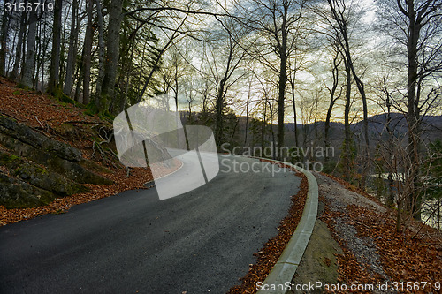 Image of Road in autumn forest landscape