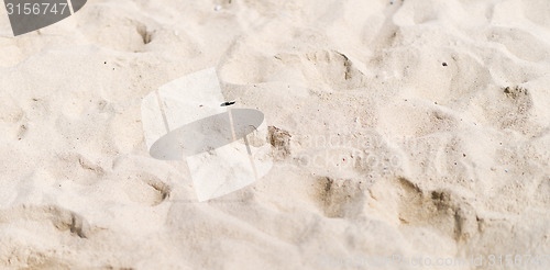 Image of sand beach