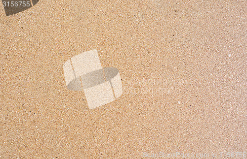 Image of wet sand