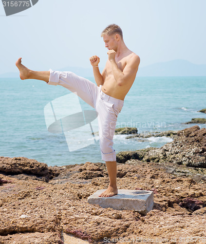 Image of karateka