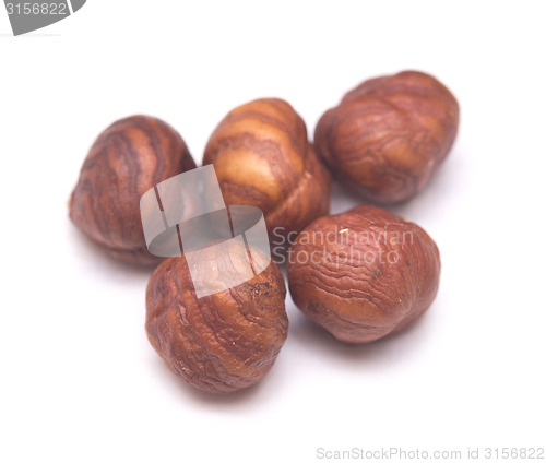 Image of hazelnuts