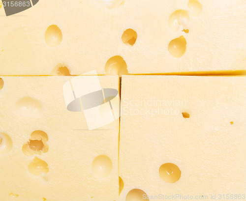 Image of cheese background