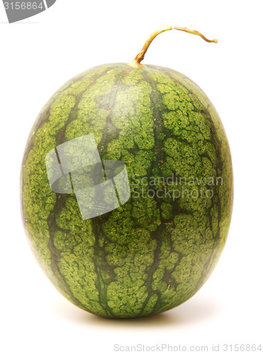 Image of whole watermelon