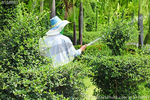 Image of gardener