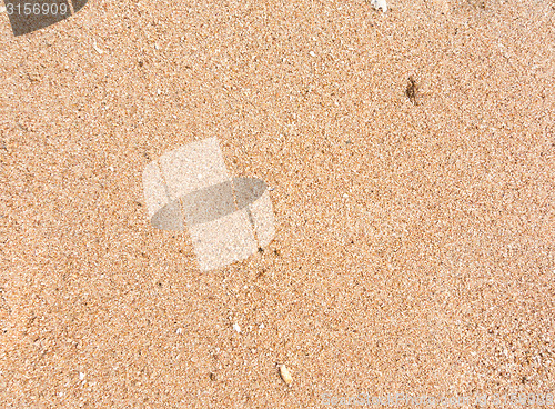 Image of wet sand