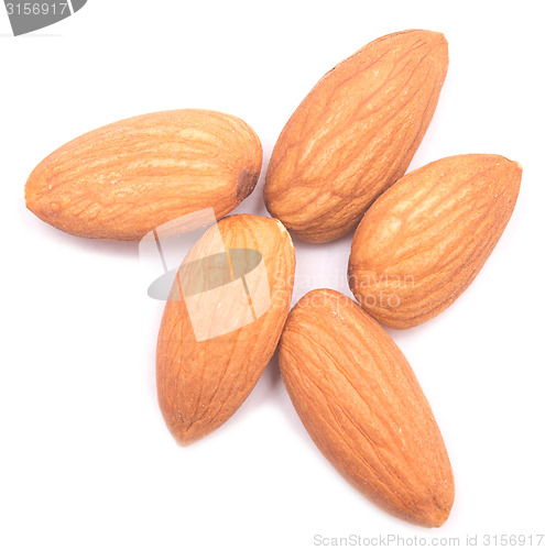 Image of almonds