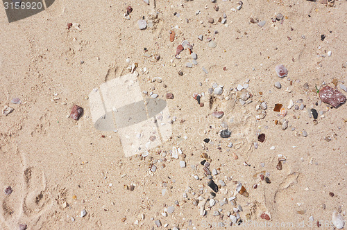 Image of sand background