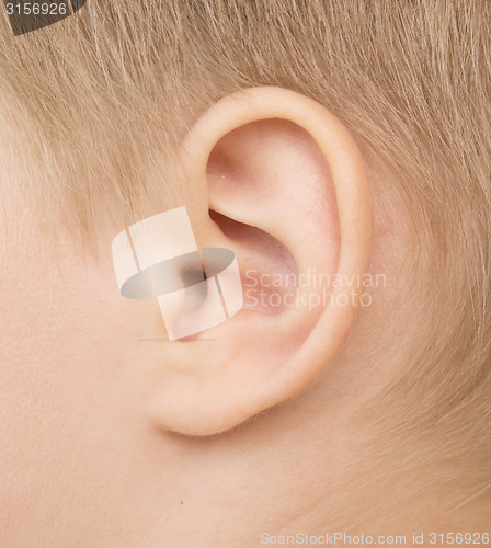 Image of baby ear