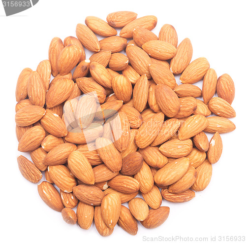 Image of almonds