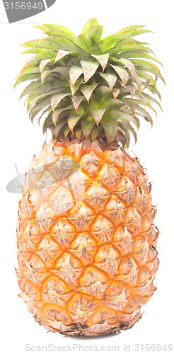 Image of pineapple