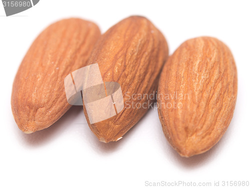 Image of almonds