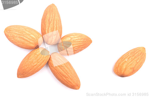 Image of almonds