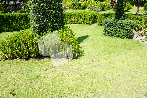 Image of garden