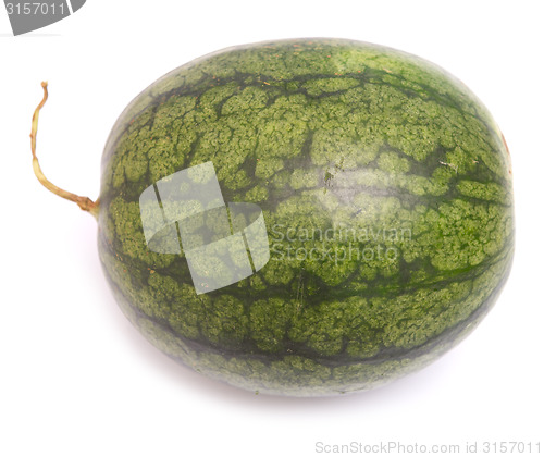 Image of watermelon