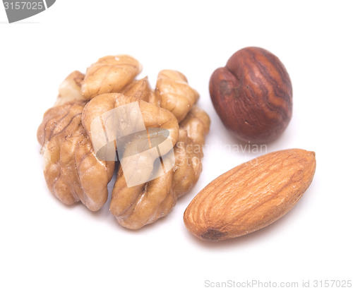 Image of nuts