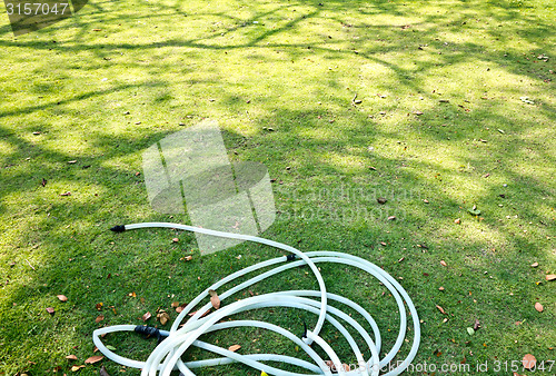 Image of garden hose