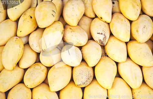 Image of mangoes