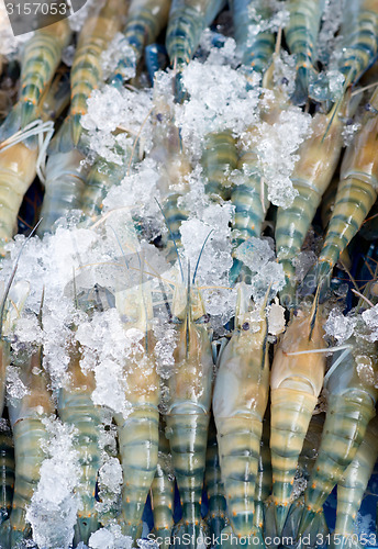 Image of raw shrimps