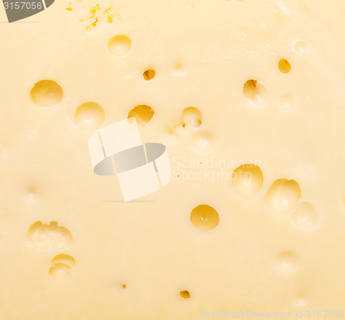 Image of cheese background