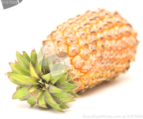 Image of ripe pineapple