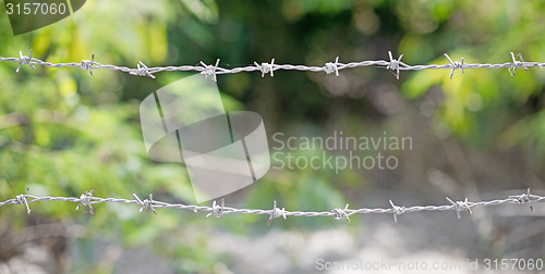 Image of barbed wire